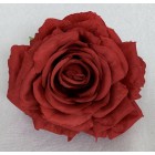 Róża wyrobowa EXCLUSIVE (6-pak) kolor RD14